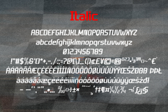 Champion Athletic the athletic typeface Product Image 8