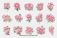 15 Bundle Watercolor Pink Peony Flower Blush Romantic Product Image 8