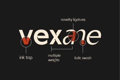 Vexane Editoral Logo fonts Product Image 8