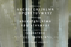 Lamrata Serif Display Font Product Image 8