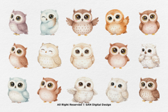15 Bundle Watercolor Baby Owl Sweet Bird Animal Flying Smart Product Image 8