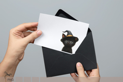 Halloween black cat Sublimation Product Image 8