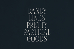Elantrae Elegant Modern Serif Font Product Image 8