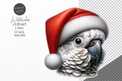 Christmas clipart, Cockatoo clipart, Winter sublimation Product Image 1