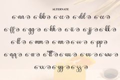 Vibes Product Image 8