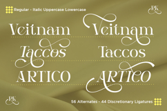 Dalnite - Modern Luxury Serif Font Product Image 8