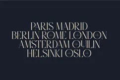 Stonebury Sculpted Display Serif Font Product Image 8