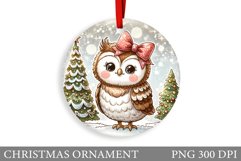 Christmas Owl Christmas Ornament. Christmas Owl Sublimation Product Image 1