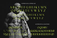 Midtown Groveed - A Display Serif Product Image 8