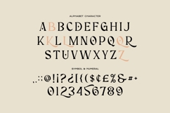 Creators - Luxury Serif Font Product Image 8