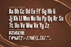Delluza - Authentic Condensed Sans Product Image 8