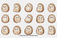 15 Bundle Watercolor Baby Hedgehog Animal Kids Spines Chibbi Product Image 8
