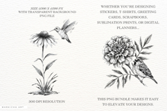 Summer Wildflowers &amp; Songbird Clipart Product Image 2
