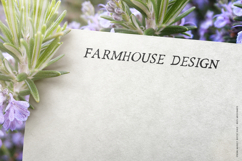 Spring Market Serif Product Image 10