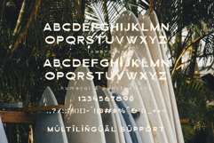 Barviera Font Duo Product Image 8