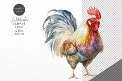 Chicken clipart, Farm animals clipart, Watercolor clipart Product Image 1