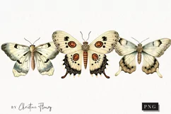 Vintage Goth Moths Clipart | Vintage Gothic PNG Product Image 1