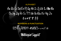 Bhiletha Fileboy Product Image 8