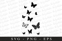 Buterfly SVG | SVG Cut files | Cricut Product Image 1