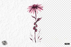 Summer Wildflowers &amp; Lady Bugs Clipart Product Image 1