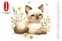 Baby Siamese Cat - JPG File Product Image 1