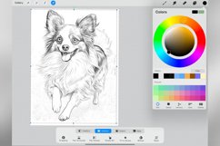 80 Procreate Small Dog Breeds Stamp Brushes Product Image 4