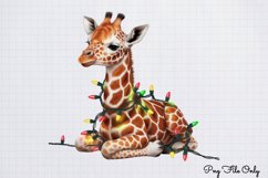 Christmas Giraffes Clipart PNG Product Image 1