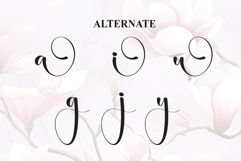 Magnolia Product Image 8