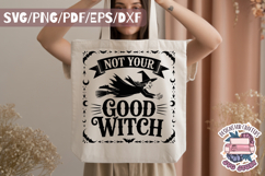 Halloween Sarcasm Witch Bundle 30 Designs SVG PNG Funny Product Image 11