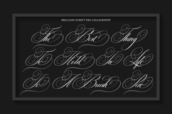 Brilliani Script Pro Product Image 8