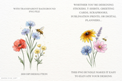 Summer Meadow Flowers Clipart Product Image 2