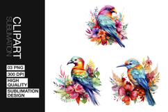 Tropical Bird Art Clipart PNG Product Image 1