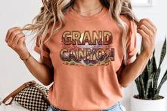 Grand Canyon PNG, Vintage National Park Eagle Sublimation Product Image 8