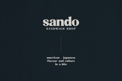 Quindle Retro Serif Display Font Product Image 8