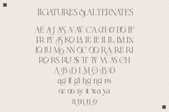 Monclaire Serif Product Image 11
