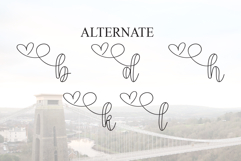 Brigdey Product Image 8