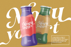 Ansilent - Modern Serif Font with Swash Product Image 8