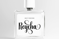 Barbie Panda - Family Font In 55 Type Product Image 10