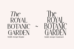 Stylish Avengers Serif Family Product Image 9