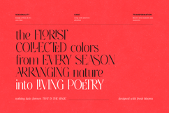 Thereon - Modern Romantic Serif Font Product Image 8