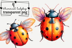 Whimsical Ladybug Clipart Watercolor PNG Product Image 1