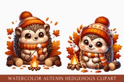 watercolor autumn hedgehog clipart, autumn hedgehog Clipart Product Image 1