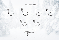 Wintersnow Product Image 8