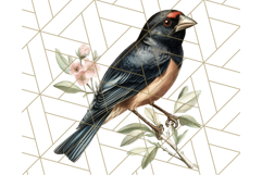 Vintage Song Bird Clipart PNG, Botanical Bird Art Clip Art Product Image 4
