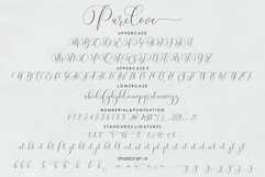 Ambora Script Product Image 9