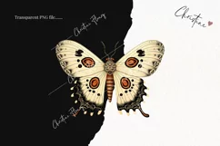 Vintage Goth Moths Clipart | Vintage Gothic PNG Product Image 2