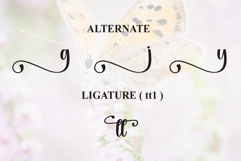 Butterfly Product Image 8