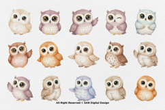 15 Bundle Watercolor Cute Owl Bird Animal Flying Smart Kids Product Image 8
