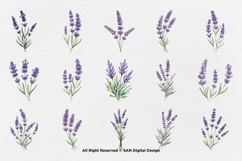 15 Bundle Watercolor Lavender Flower Purple Rustic Vintage Product Image 8