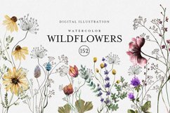 Watercolor Wildflowers Product Image 1